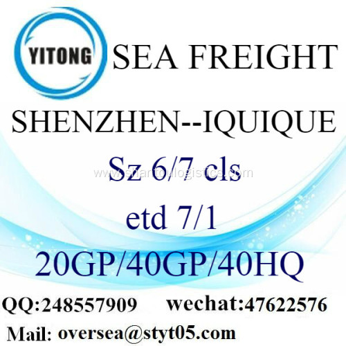 Shenzhen Port Sea Freight Shipping To Iquique